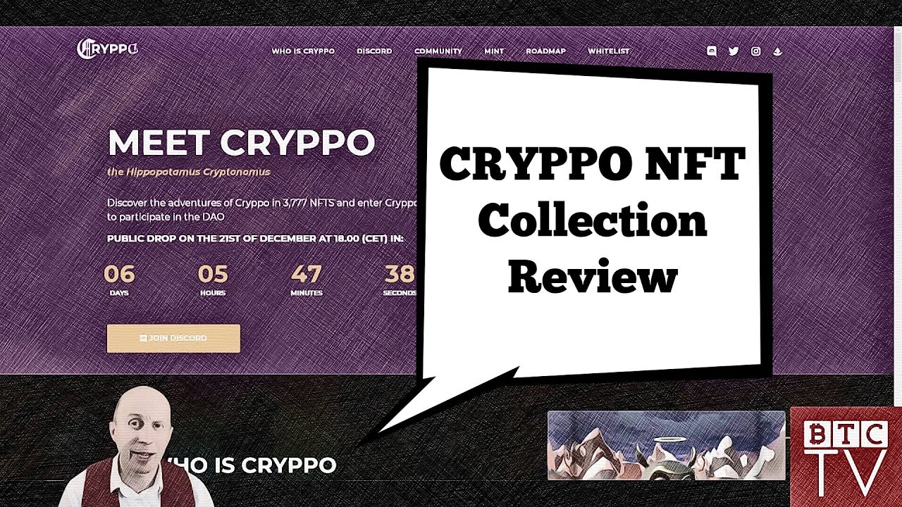 🚀 CRYPPO NFT – REVIEW OF LIMITED COLLECTION – ENTER HYPPO METAVERSE 🚀