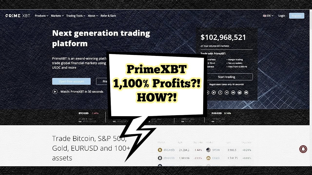 PrimeXBT – Get 1,100$ Profit From Copy Trading – Detail Instructions